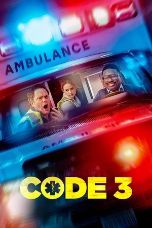 Code 3 (2025) Hindi (MULTI AUDIO) – –