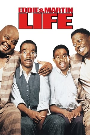 Life (1999) Hindi Dual Audio [1.3GB] HD Poster Download - filmyfly