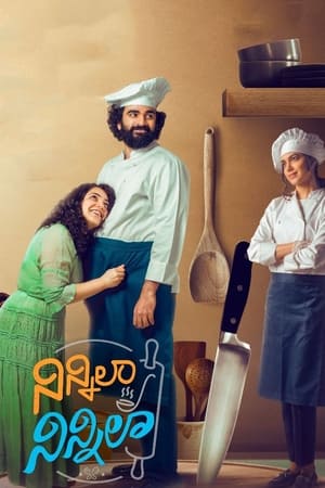 Ninnila Ninnila (2021) Hindi Movie [1GB] HD Poster Download - filmyfly
