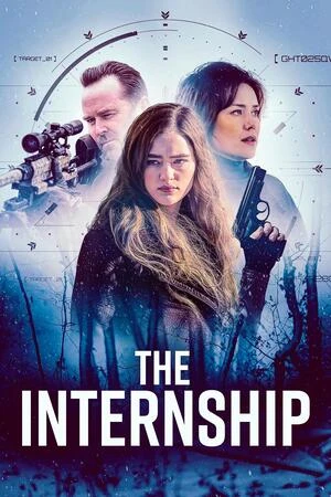 The Internship 2026 Hindi Dual Audio HD Poster Download - filmyfly