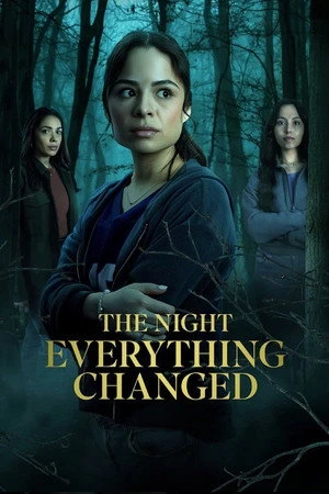 The Night Everything Changed (2026) Hindi (MULTI AUDIO) – – HD Poster Download - filmyfly