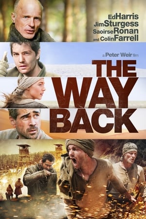 The Way Back (2010) Hindi Dual Audio 400MB HD Poster Download - filmyfly
